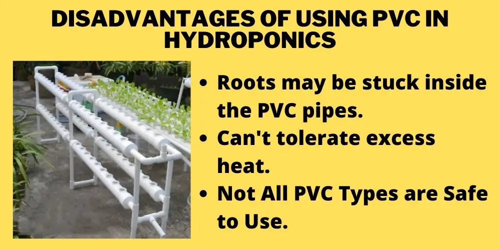 Disadvantages of using PVC in hydroponics