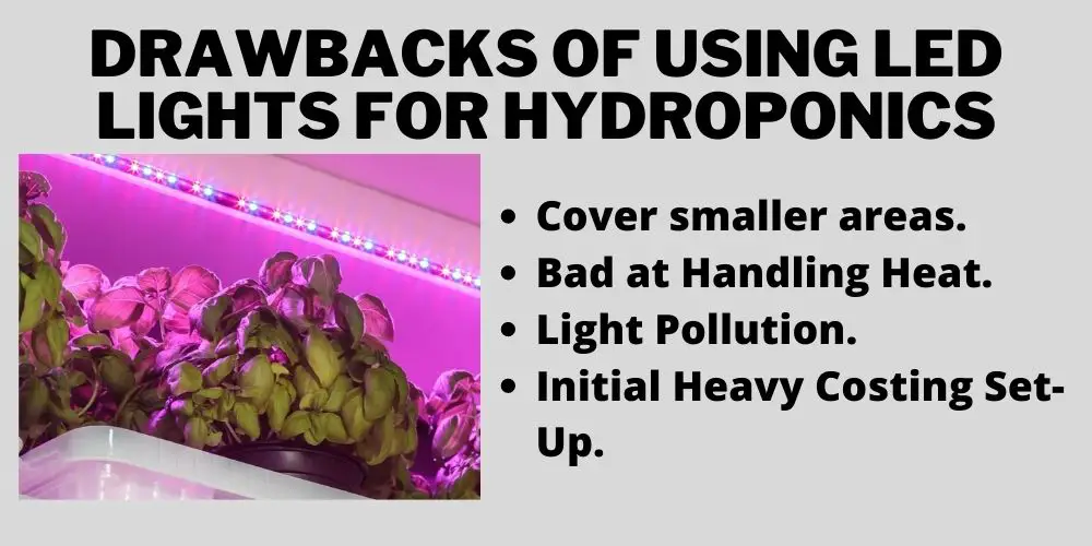 Drawbacks of Using LED Lights for Hydroponics