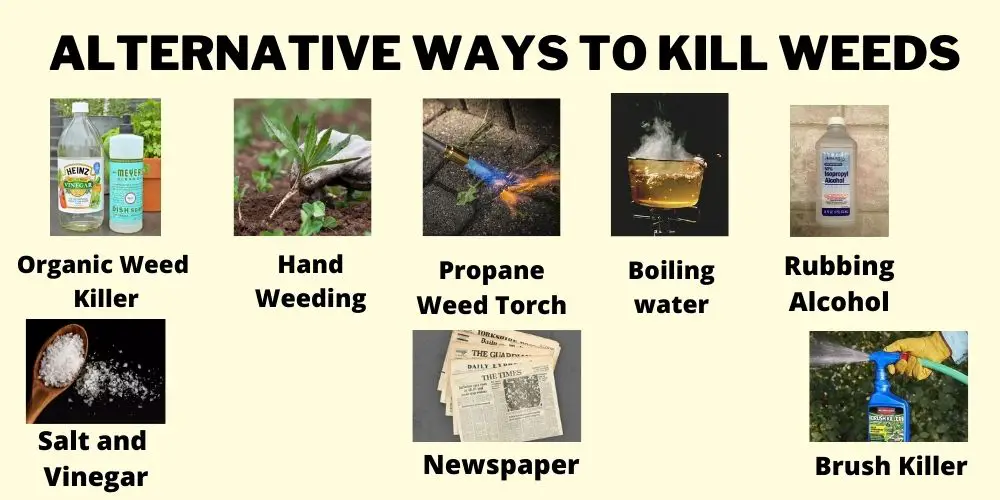 Alternative Ways to Kill Weeds