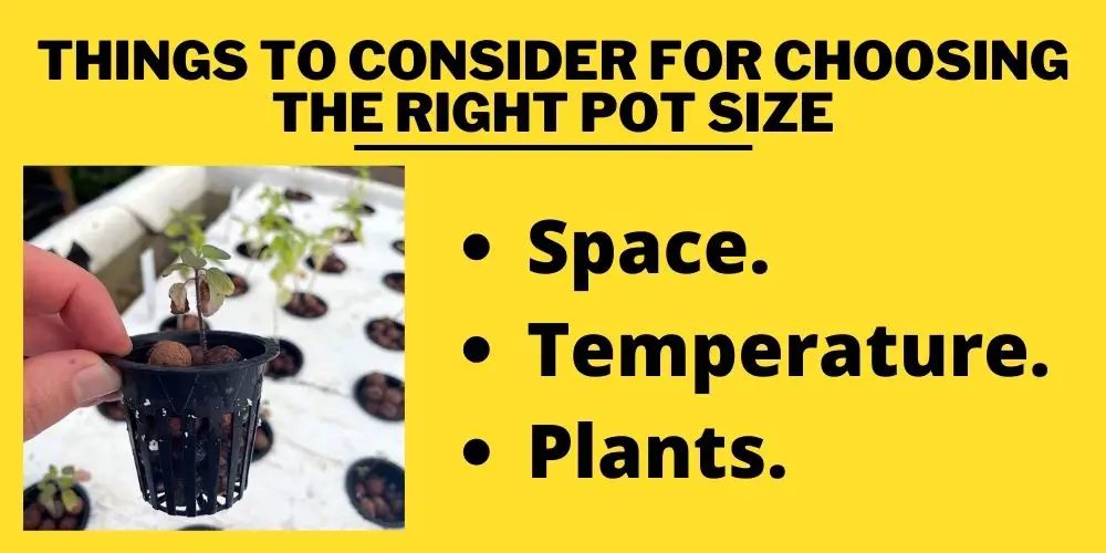 Things to Consider for Choosing the Right Pot Size