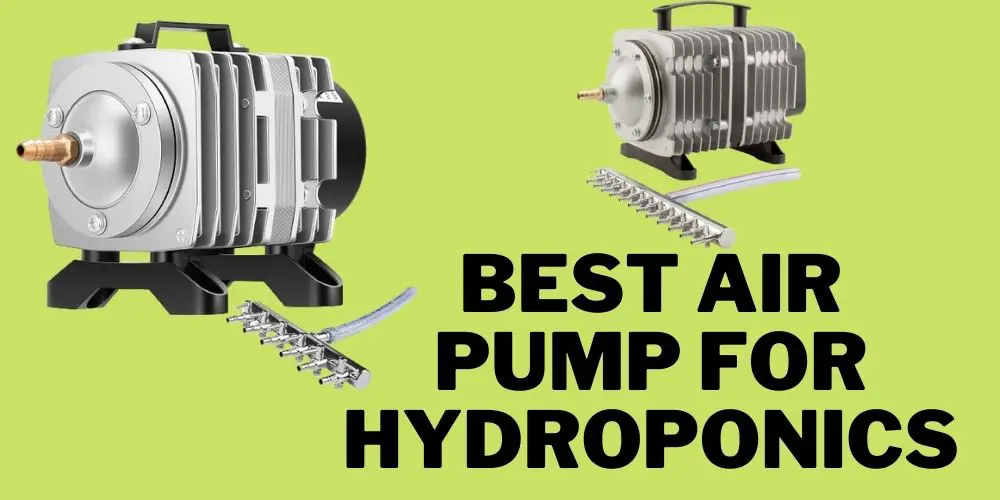 Best air pump for hydroponics