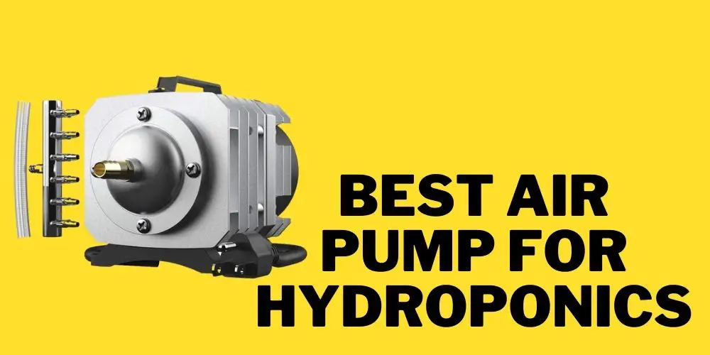 Best air pump for hydroponics