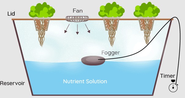 What is Fogponics? and How Does it Work?