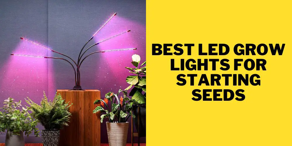 Best Led Grow Lights for Starting Seeds