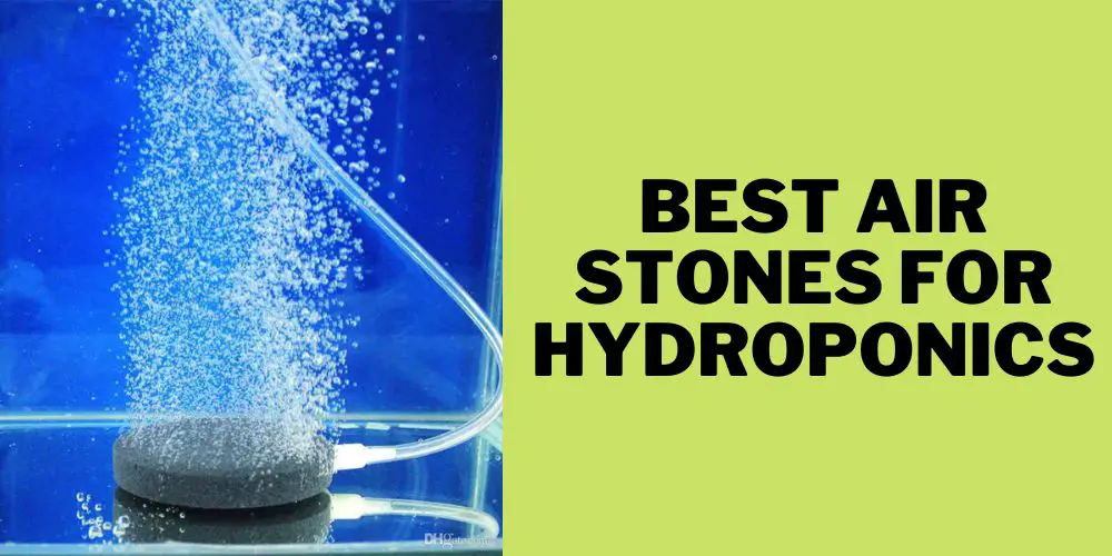 Best air stones for hydroponics system