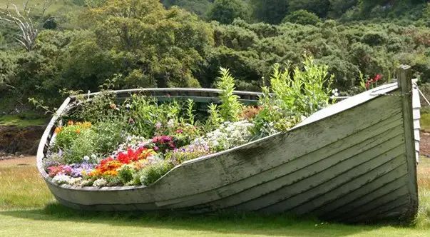 can you grow plants on a boat