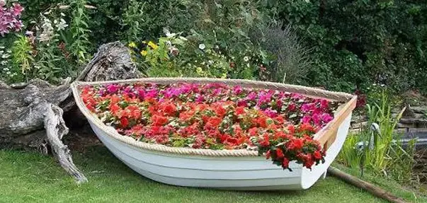 How to Grow Plants on a boat?