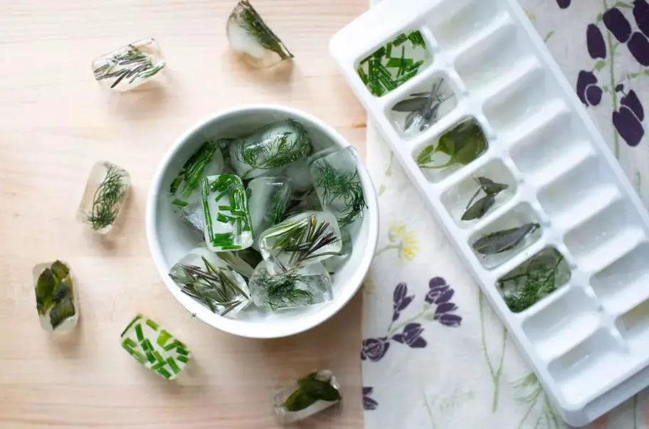 How to store mint in the freezer?