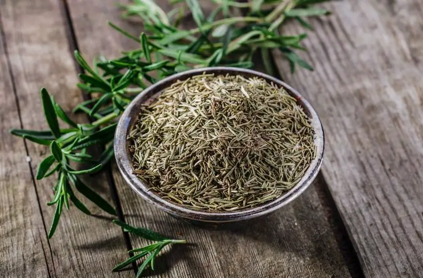 How do you dry, store and use rosemary