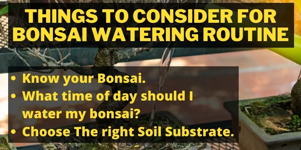 Choose The right Soil Substrate