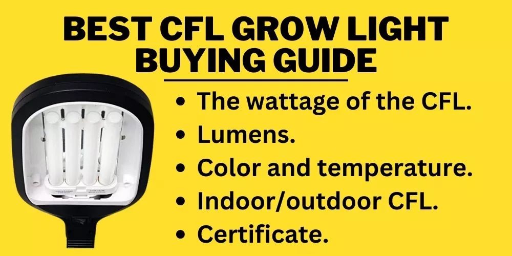 Best CFL Grow Light Buying Guide