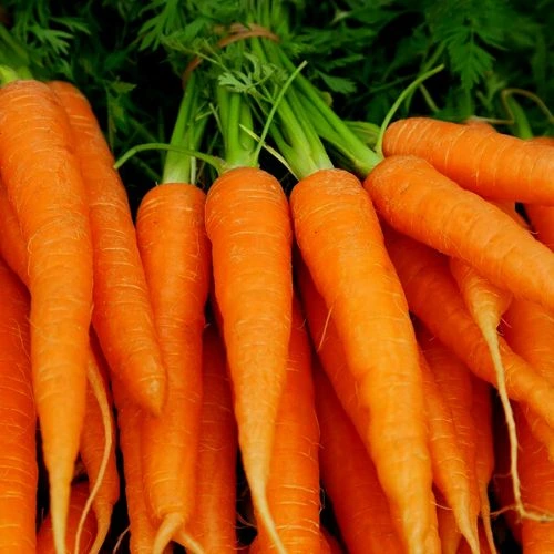 Carrots