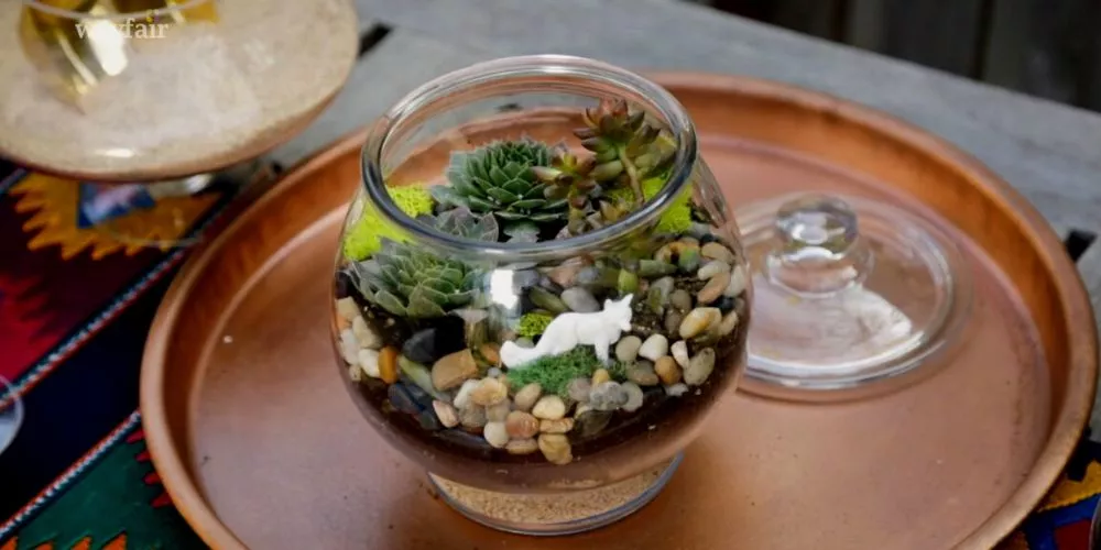 How to Plant Succulents in Glass Bowl