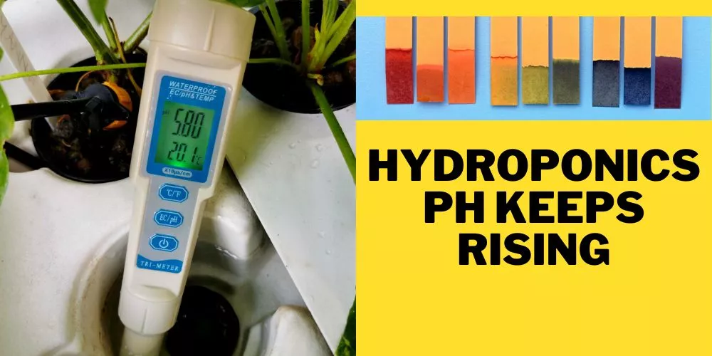 Hydroponics ph keeps rising