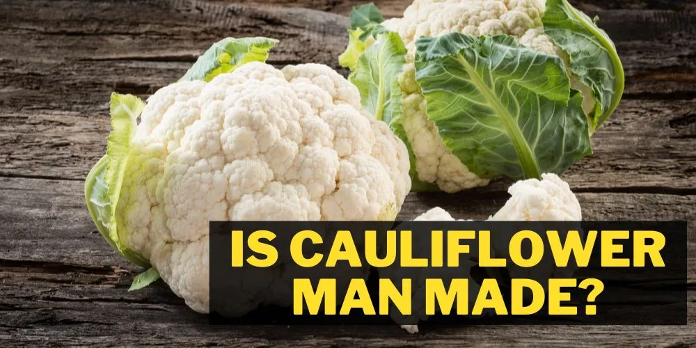 Is Cauliflower Man-Made