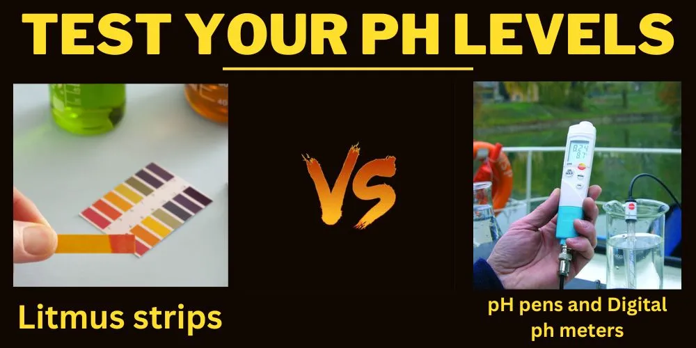 Test Your PH Levels