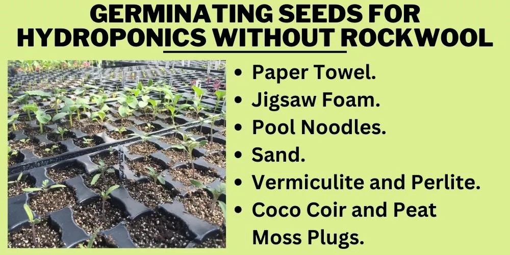 Germinating Seeds for Hydroponics Without Rockwool