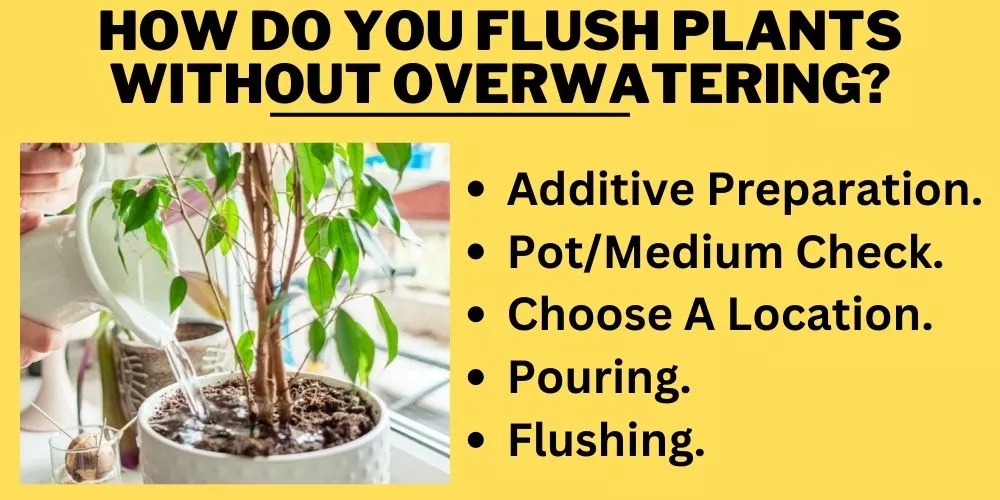 How do you flush plants without overwatering