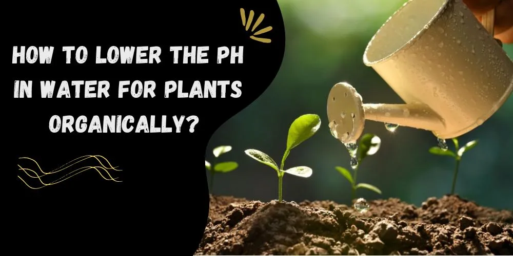 How to lower the ph in water for plants organically