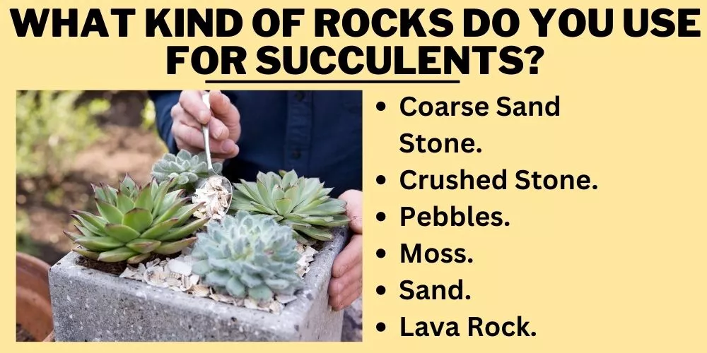 What kind of rocks do you use for succulents