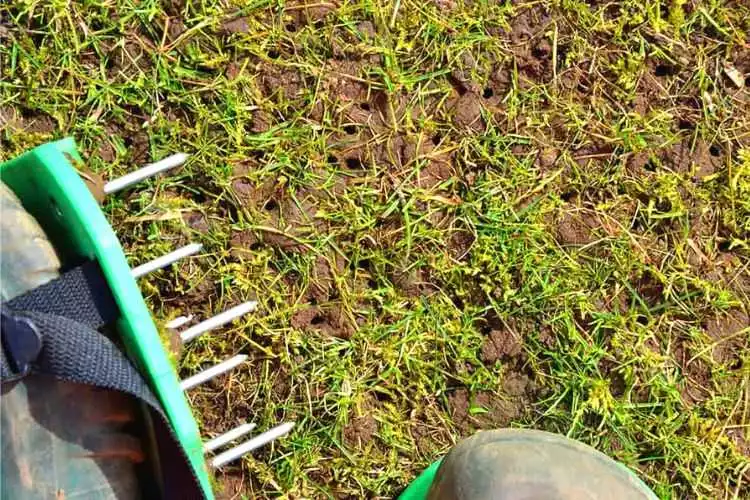 Aerate Your Lawn