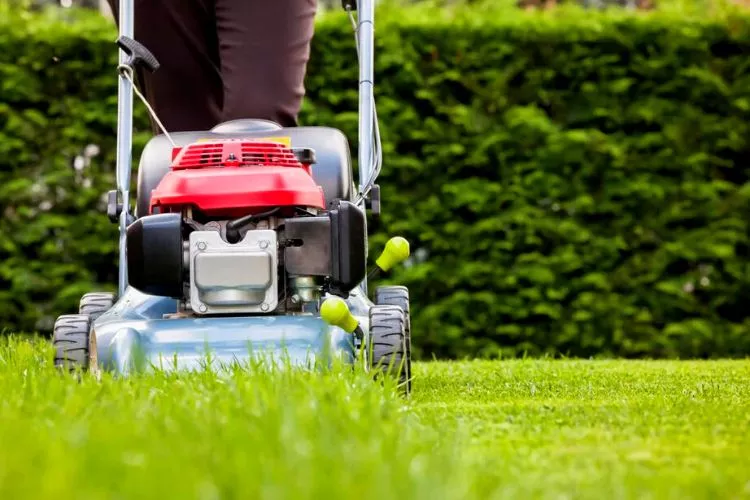 Better Your Mowing Practices