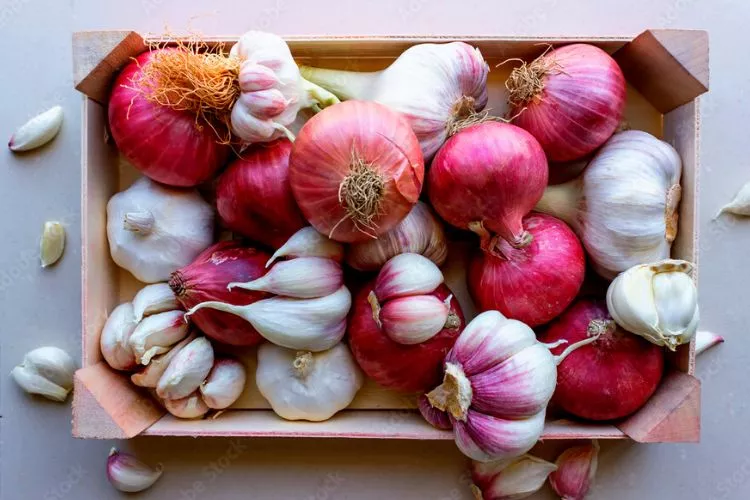 What other vegetables belong to the same category as Garlic