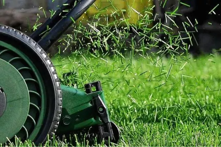 Factors that Affect the Waterproofing of Lawn Mowers