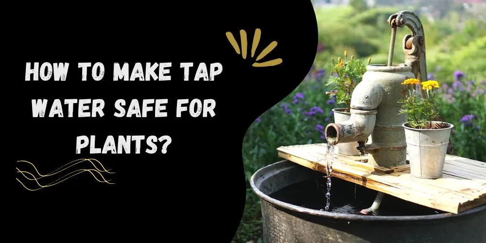 How to make tap water safe for plants