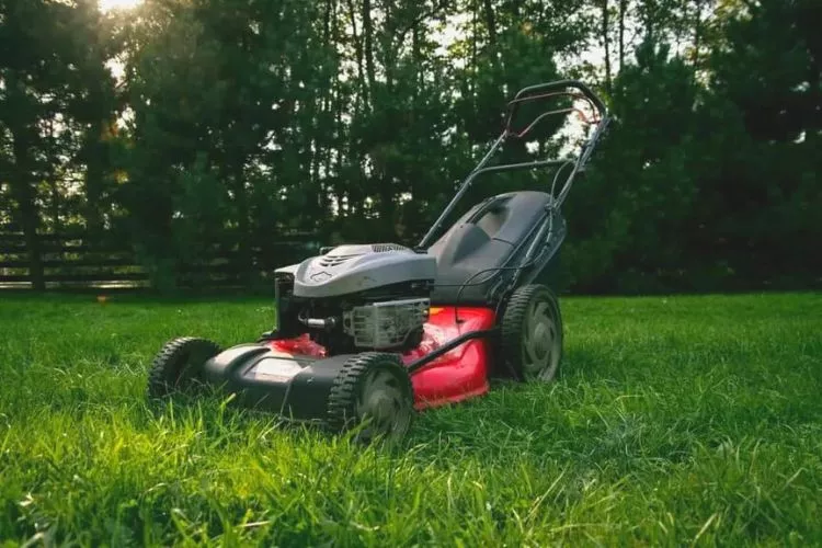 Importance of proper sealing and gasketing in lawnmowers