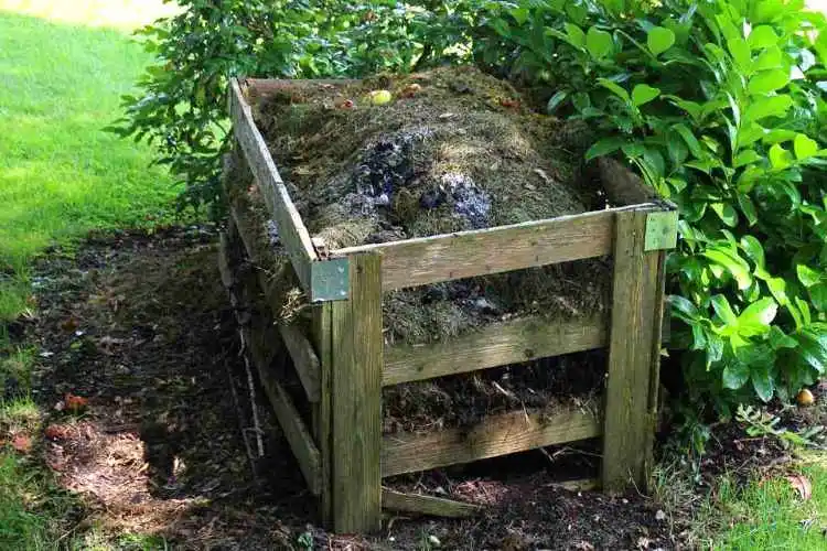 Proper composting techniques