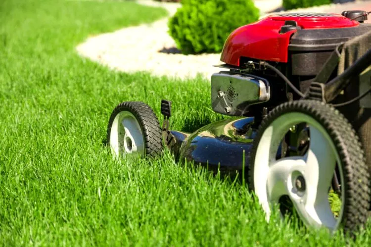 Quality of the lawn mower