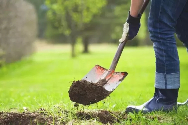 Do I Need A Permit To Dig In My Yard