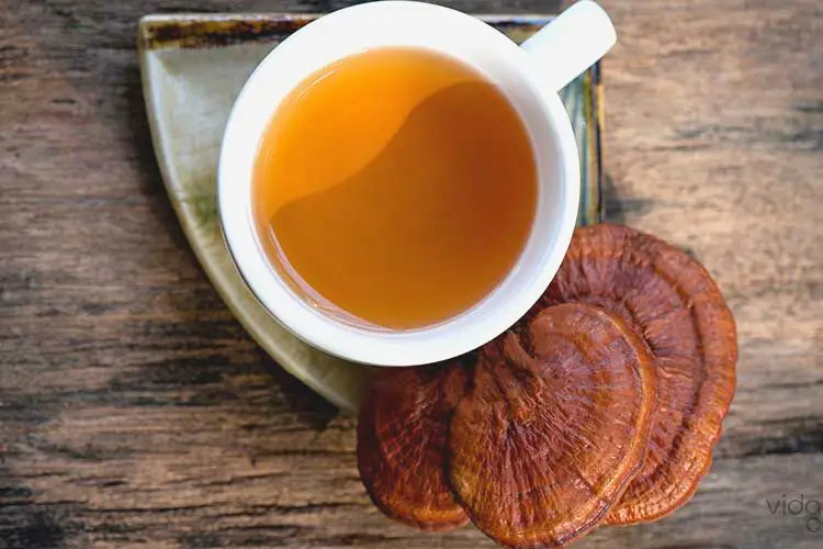 Dried Reishi Mushroom Tea