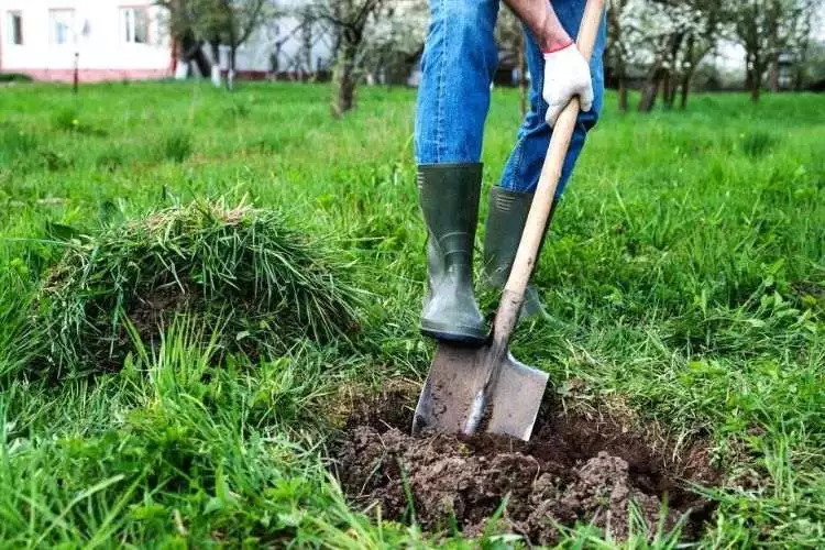 How can you safely dig deep in your backyard