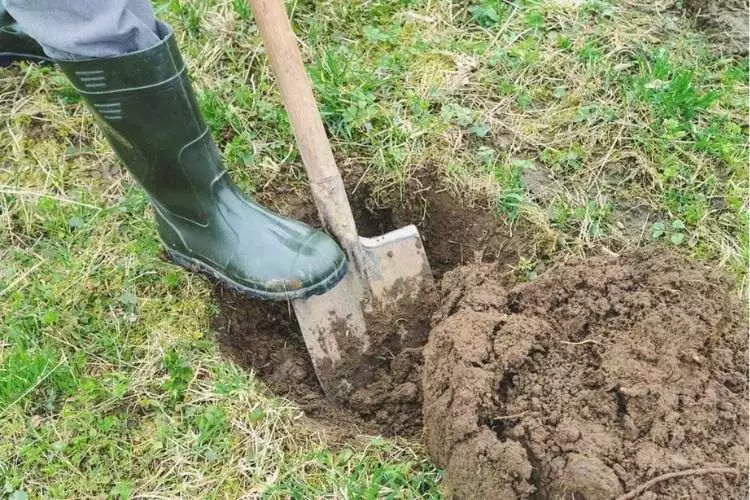 How deep can you dig in your backyard