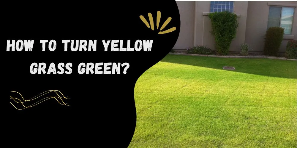 How to turn yellow grass green