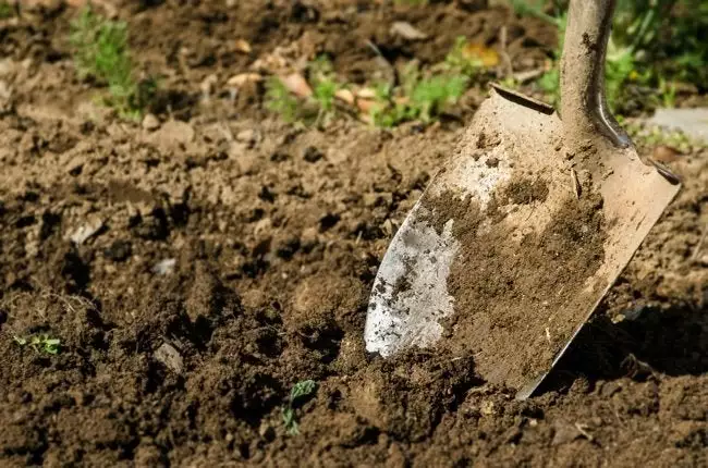 What soil type is in your backyard, and how deep can you dig it