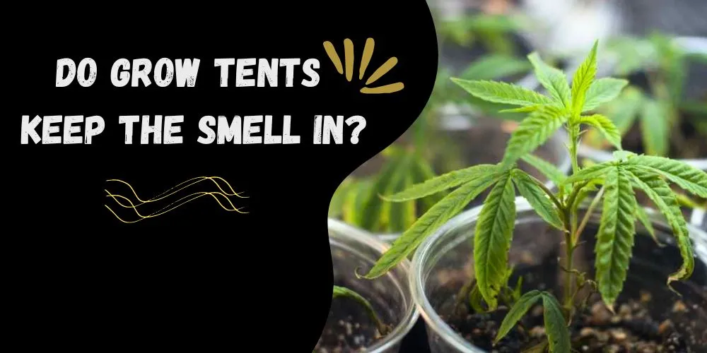 Do grow tents keep the smell in