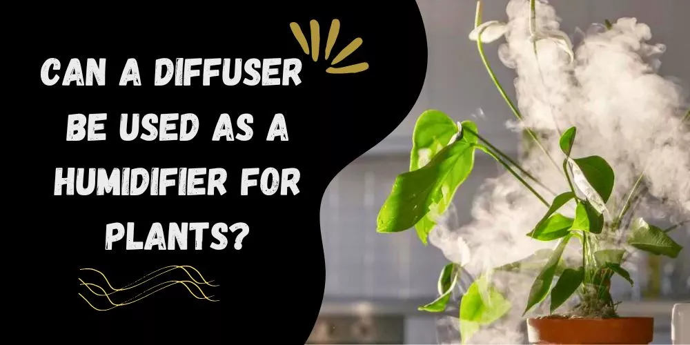 Can a diffuser be used as a humidifier for plants