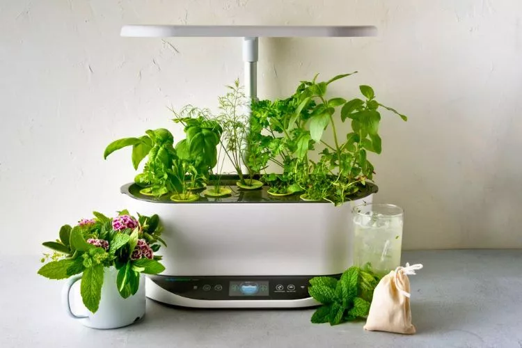 Is aerogarden safe