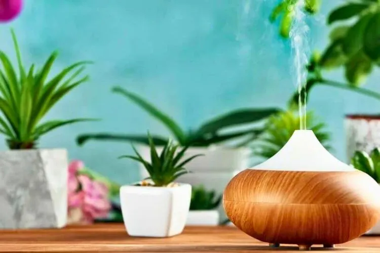 Pros and Cons of Using a Diffuser as a Humidifier 