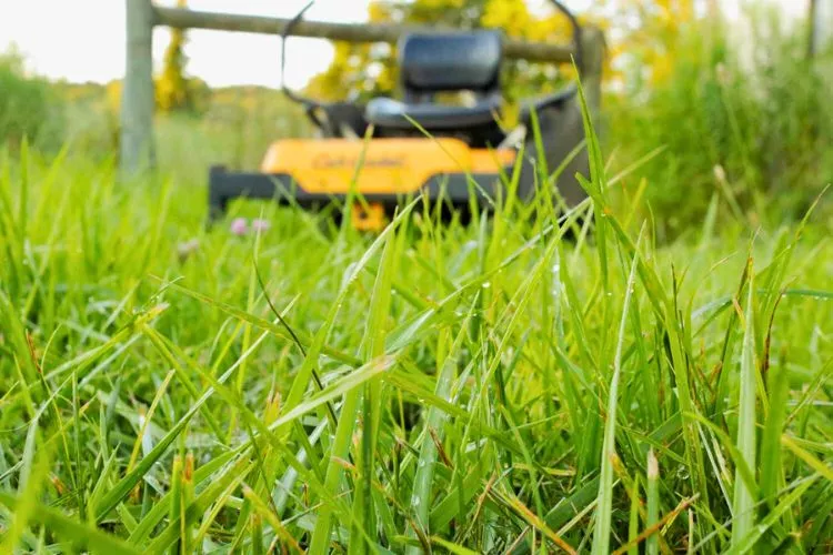 Best lawn mower for wet grass