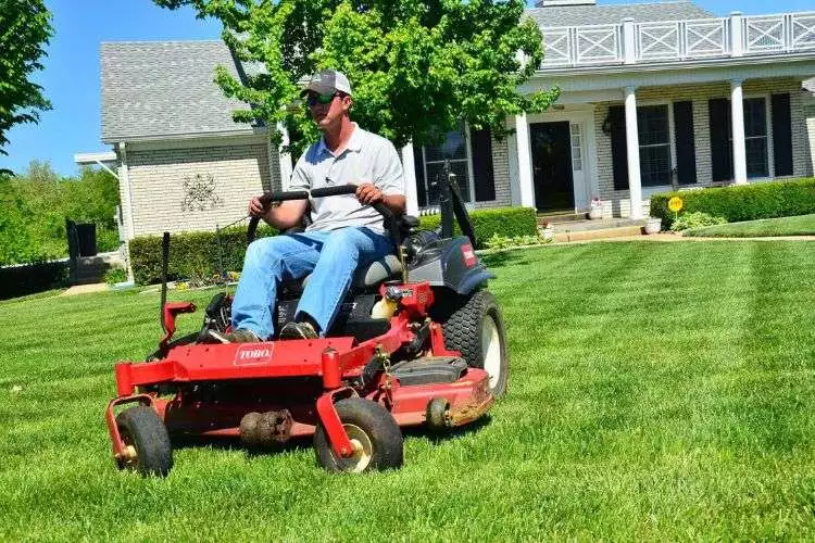 Can you mow over lawn netting