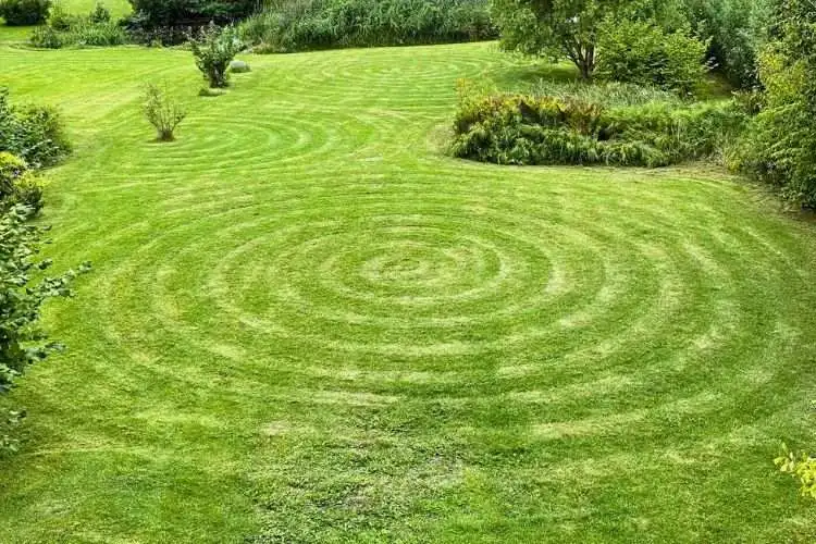 Proper Mowing Techniques