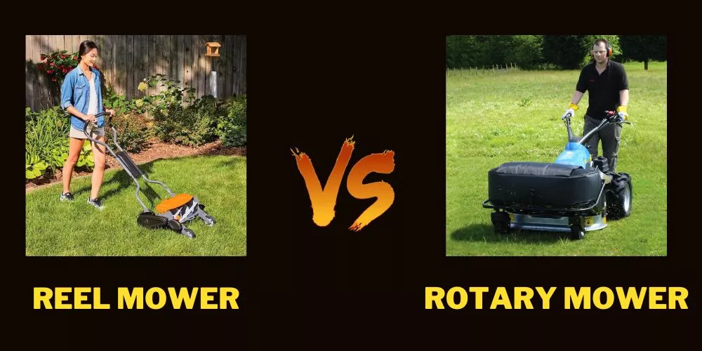 Reel vs Rotary Mower- Which One is Better for Zoysia Grass