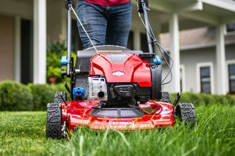 Tips for Mowing Zoysia Grass 