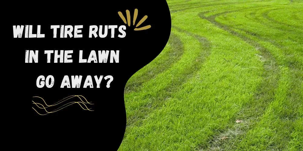 Will tire ruts in the lawn go away