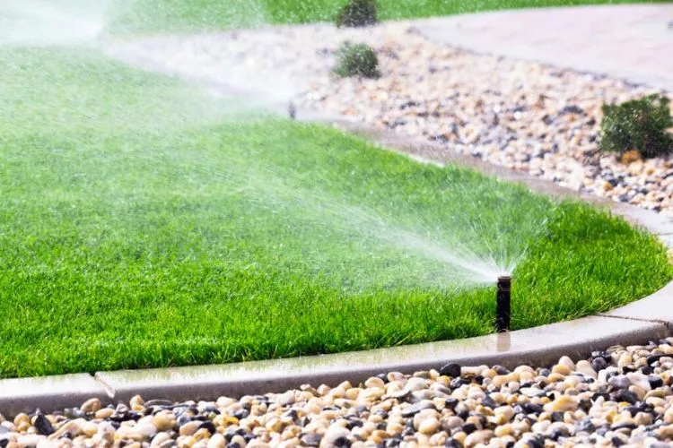 When To Start Watering The Lawn (Common Signs)