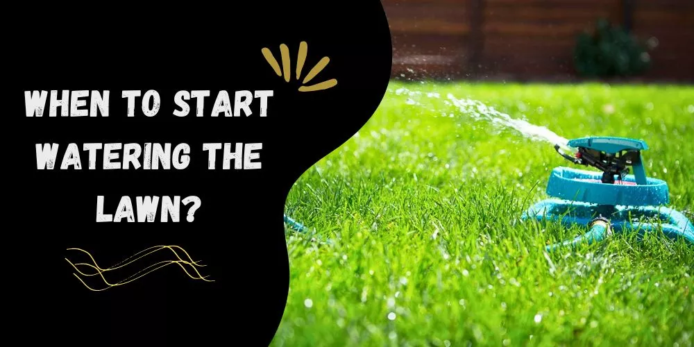 When to start watering the lawn